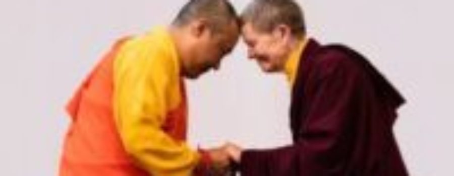 Pema Chodron’s Buddhist Group Admits ‘Abhorrent Sexual Behavior’