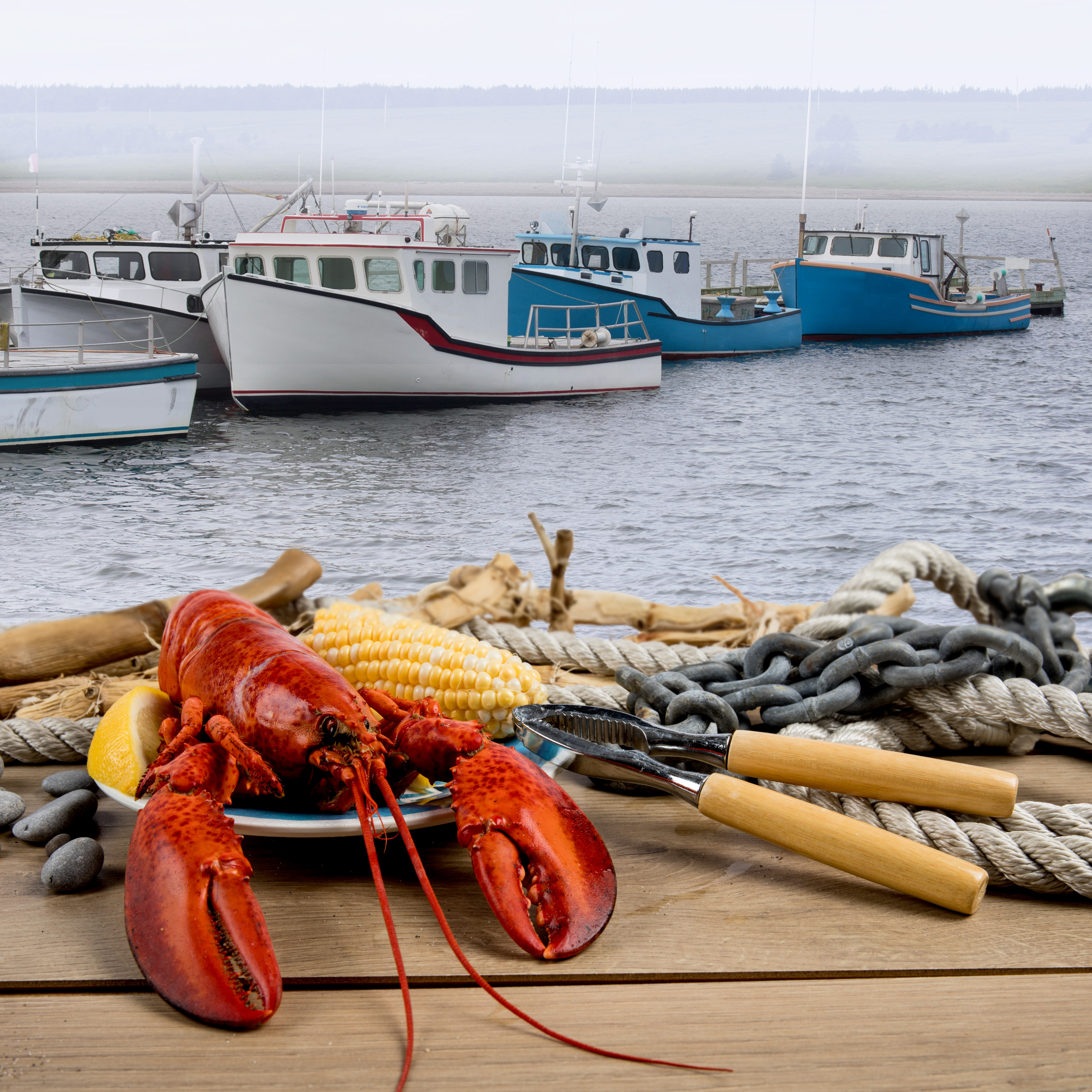 Lobster Stories